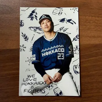 후시미 토라이 WLH 엽서