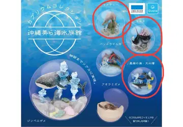 오키나와 추라우미 수족관 캡슐 토이 3개 세트
