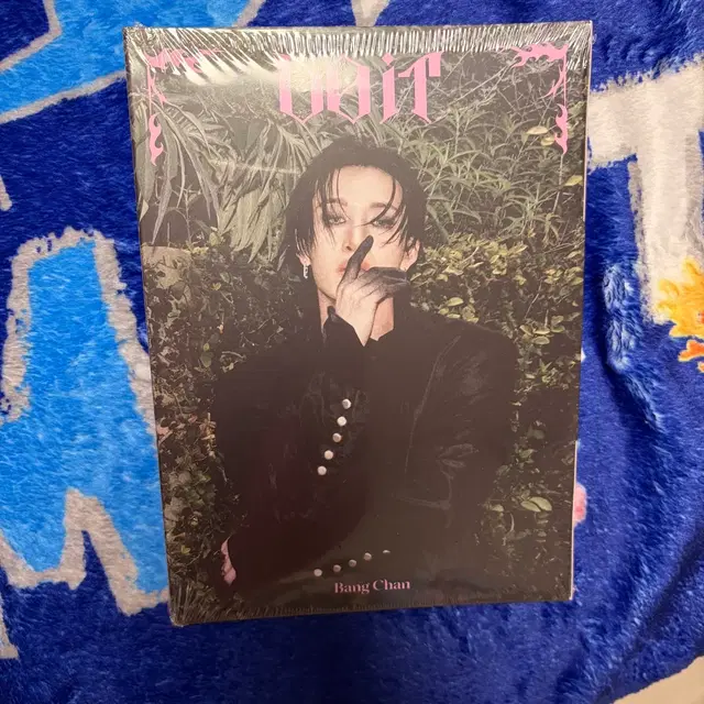 미개봉 스키즈방찬 두잇 아코디언앨범