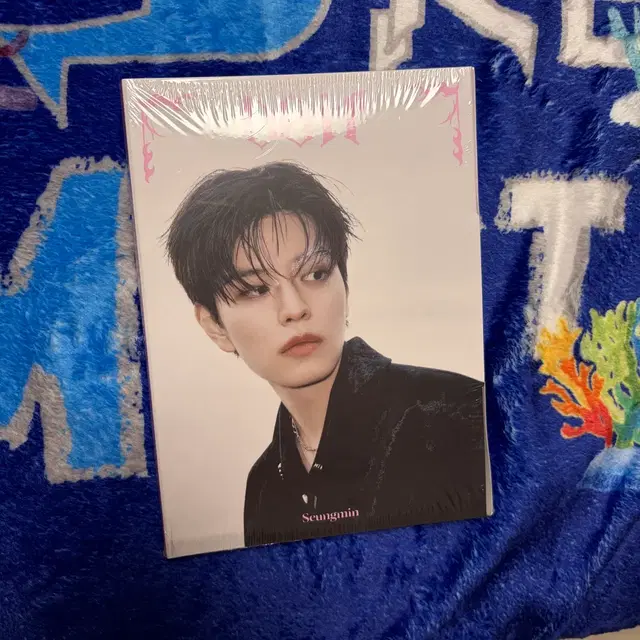 미개봉 스키즈 승민 아코디언앨범