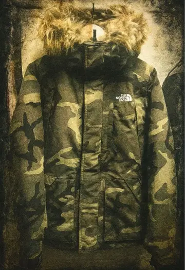 the north face 엘레바스 다운 자켓