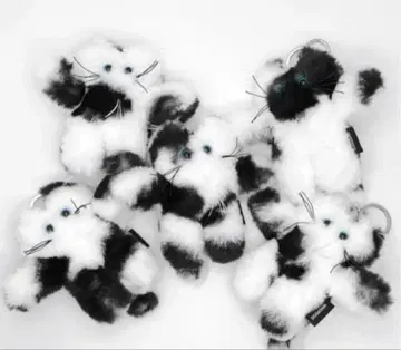 [ 새상품 ] GODASHIN 키링 1개