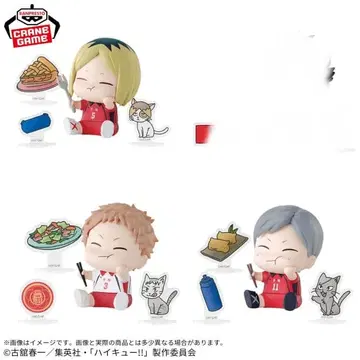 [상자 없음] 하이큐 하피피규 코즈메 켄마 야쿠상 리에프