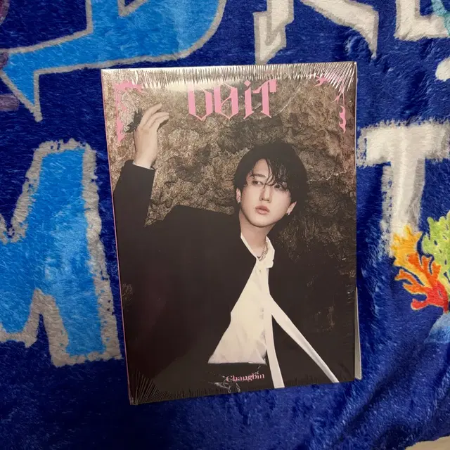 미개봉 스키즈 창빈 두잇 아코디언앨범