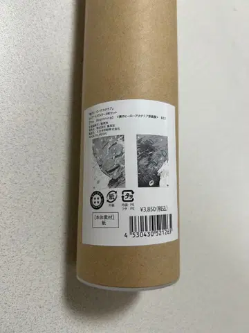 나의 히어로 아카데미아 원화전 아트 포스터 2장 세트