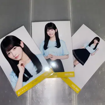 노기자카46 브로마이드 이케다 에이사 쿠보 시오리 졸업 콘서트 T 컴프