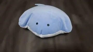 동그란 눈의 수족관 봉제 인형