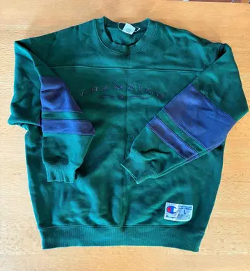 Champion 트레이닝복 L