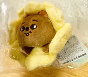 SKZOO 스키즈 팝업 한쿼카 펜 케이스 HAN QUOKKA