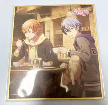 프로세카 시노노메 아키토 색지 31C 히츠지