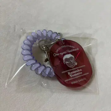 명탐정 코난 의 잔상 야마토 칸스케 나가노현경 락커 키풍 아크릴 키링