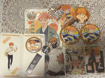 히나타 쇼요 묶음 판매 세트