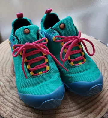 MERRELL 카멜레온 한정 컬러 38