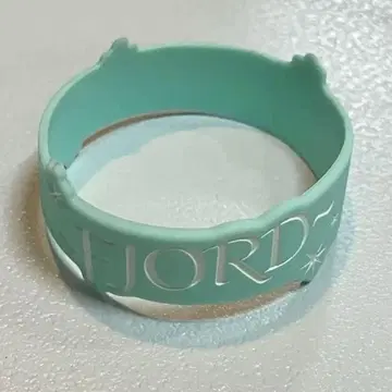 FJORD 러버 밴드