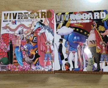 원피스 비블 카드 300장 & 도감 2권 세트 ONE PIECE