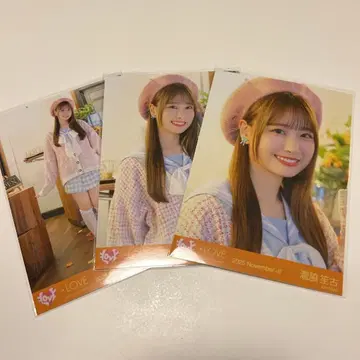 이코라부 코모레비 메조포르테 타키와키