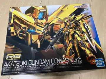 RG 아카츠키 건담 시라누이 장비 세트