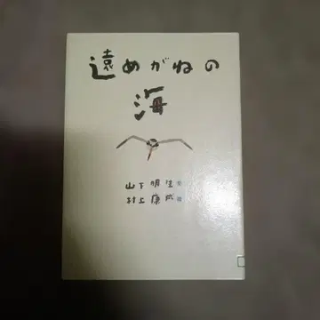 먼 곳을 보는 안경의 바다