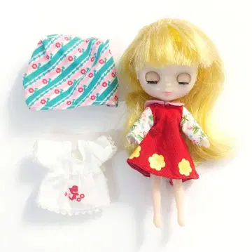 미니 브라이스 리틀 레트로 마마 본체, 의상