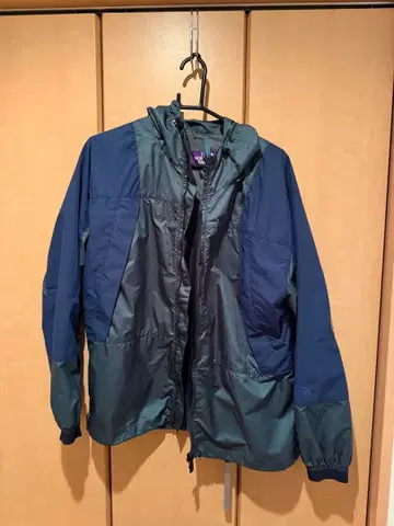 THE NORTH FACE M 사이즈 마운틴 후드티