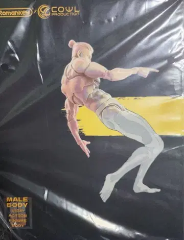 새상품 Romankey x COWL 초가동 남성 소체 화이트