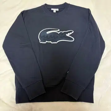 LACOSTE 트레이닝복 / 빅 락 엠블럼 크루넥 맨투맨 남성용