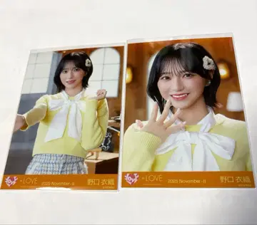 이코러브 노구치 이오리 코모레비 메조 포르테 세미 컴프