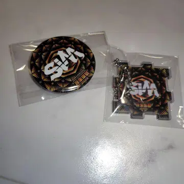 진미래제 SIM 키링 캔뱃지 세트