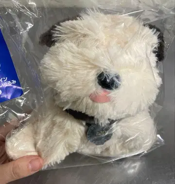 백투더퓨처 b상 아인슈타인