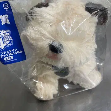 백투더퓨처 b상 아인슈타인