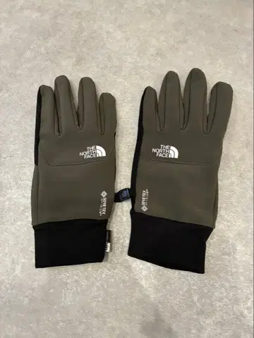 THE NORTH FACE 윈드스토퍼 이 칩 그로브