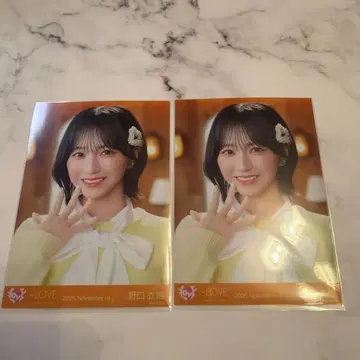 이코럽 노구치 이오리 브로마이드 코모레비 메조포르테 요리