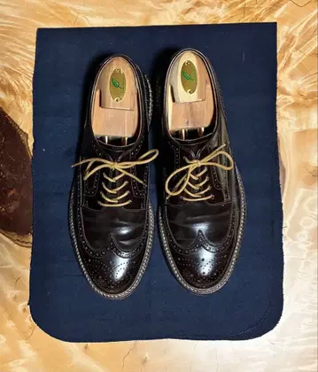 REGAL TOKYO W183 25.5