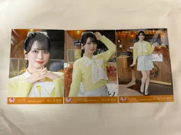 사사키 마이카 생사진 컴프 나뭇잎 사이로 비치는 햇살 메조포르테