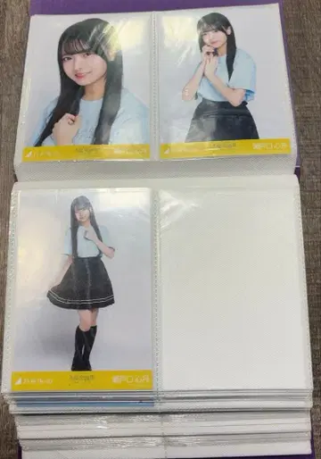 세토구치 신츠키 브로마이드 컴프 쿠보 시오리 졸업 콘서트  라이브t