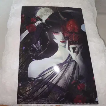 케이 사츠키 클리어 파일 6매 세트