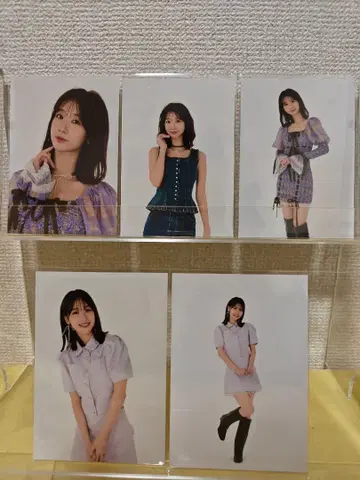 카시와기 유키 상하이 팬미팅 2024 브로마이드 세트