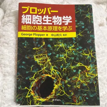 프로퍼 세포 생물학
