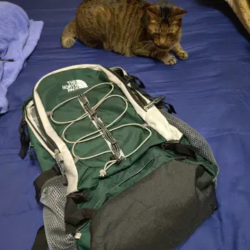 THE NORTH FACE 럭색/백팩 그린