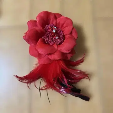 깃털 달린 코사지 빨간색