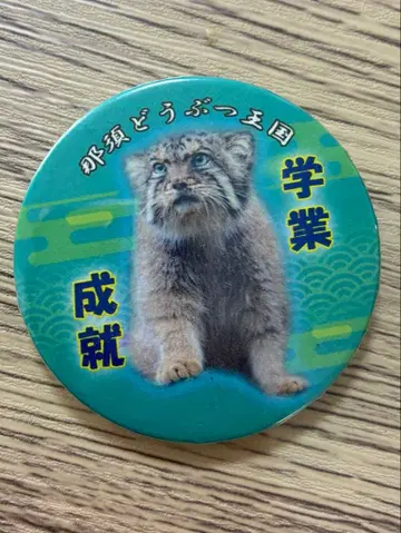 나스 동물 왕국 마눌 고양이 캔뱃지 보르