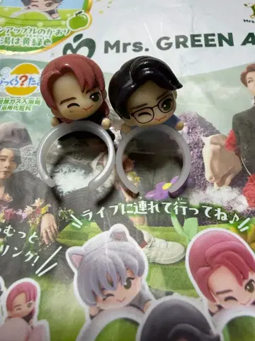 미세스 그린애플 빗쿠라타마고 다이 모리 모토키 시크릿 와카이 히로토