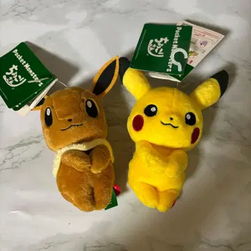 이브이 피카츄 봉제 인형 춋코리상