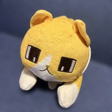 Eve 회인 관리인 씨의 고양이 파우치