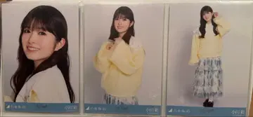 오가와 아야 카라 부착 코디