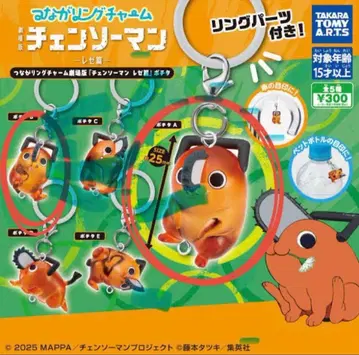 연결링 참 포치타 (AB)