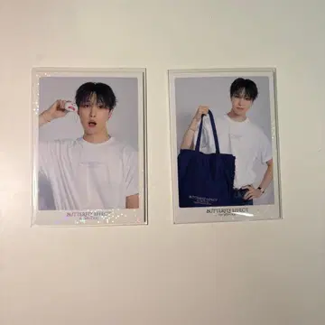 호리 나츠키 BUTTERFLY EFFECT 트레이딩 카드 시크릿