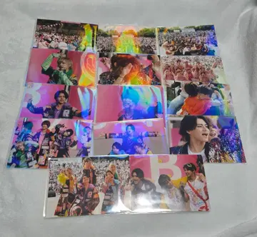 베비타피 페스티벌 브로마이드 14장 세트