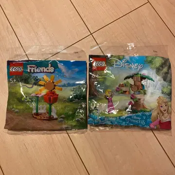 LEGO Disney 오로라 공주 Friends 2종 세트