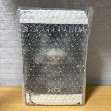 POPMART 스컬 팬더 XG 봉제 인형 펜던트 일본 한정판